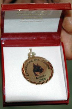 Medaglia d'oro alla Memoria del Dr. Tomaso BOSI/Gold Medal to the Memory of Dr. Tomaso BOSI