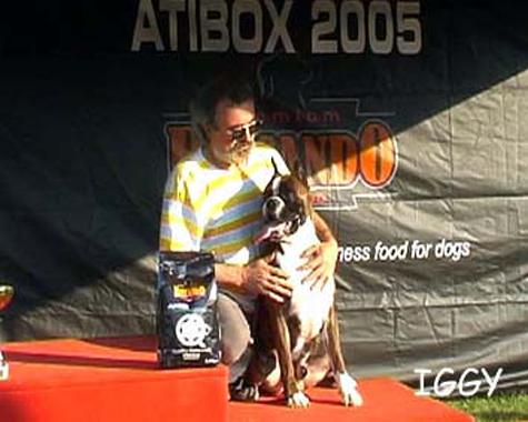 ATIBox 2005 - Zaprešić-Hrvatska (Croazia) - 28-29.05.2005
